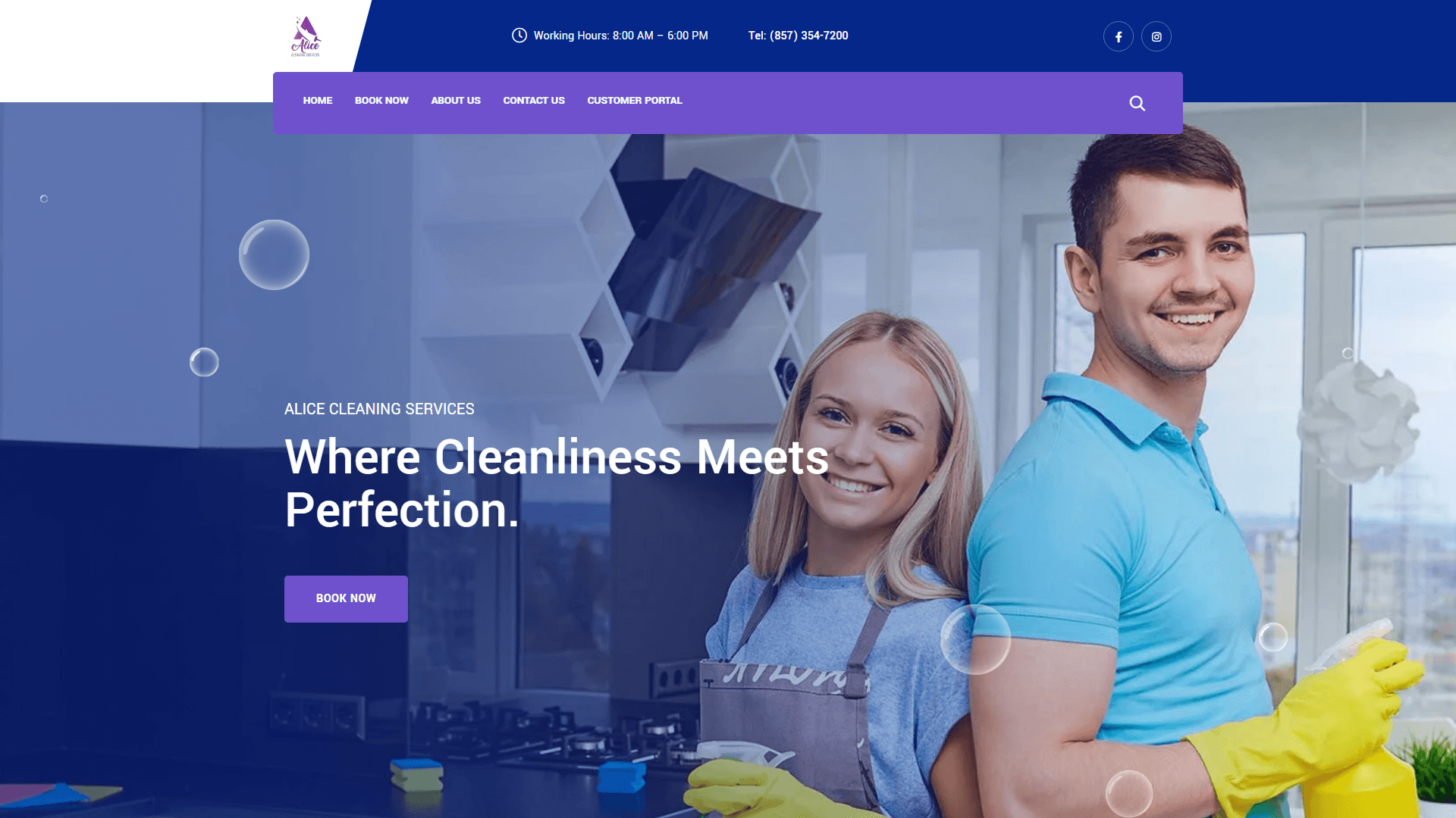 Alice Cleaning Services